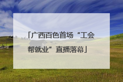 广西百色首场“工会帮就业”直播落幕
