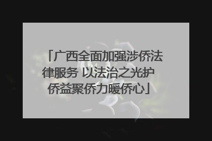 广西全面加强涉侨法律服务 以法治之光护侨益聚侨力暖侨心