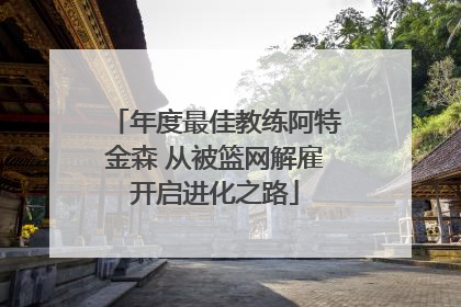 年度最佳教练阿特金森 从被篮网解雇开启进化之路