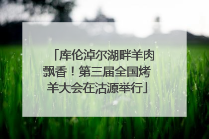 库伦淖尔湖畔羊肉飘香！第三届全国烤羊大会在沽源举行