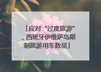应对“过度旅游”，西班牙伊维萨岛限制旅游用车数量