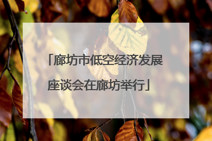 廊坊市低空经济发展座谈会在廊坊举行