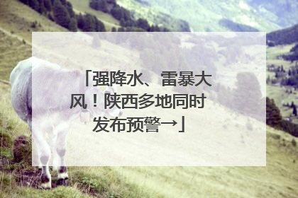 强降水、雷暴大风！陕西多地同时发布预警→