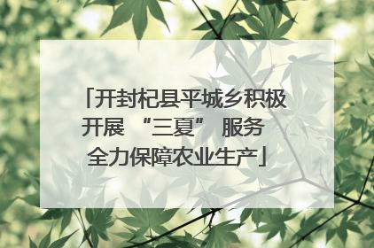 开封杞县平城乡积极开展 “三夏” 服务 全力保障农业生产