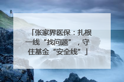 张家界医保：扎根一线“找问题”，守住基金“安全线”