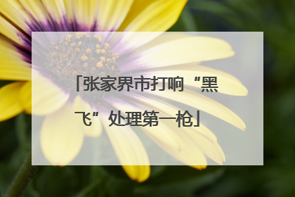 张家界市打响“黑飞”处理第一枪