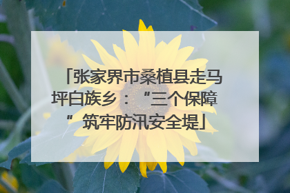 张家界市桑植县走马坪白族乡：“三个保障”筑牢防汛安全堤