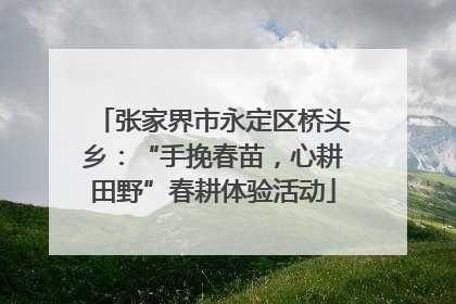 张家界市永定区桥头乡：“手挽春苗，心耕田野”春耕体验活动