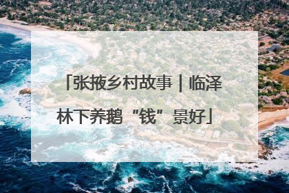 张掖乡村故事｜临泽林下养鹅“钱”景好