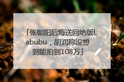 张朝阳后悔送回绝版Labubu，胡润称没想到能拍到108万
