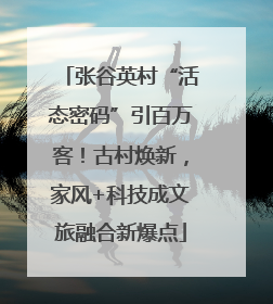 张谷英村“活态密码”引百万客！古村焕新，家风+科技成文旅融合新爆点