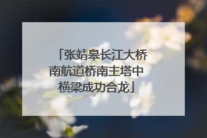 张靖皋长江大桥南航道桥南主塔中横梁成功合龙