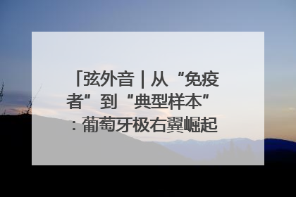 弦外音｜从“免疫者”到“典型样本”：葡萄牙极右翼崛起背后的欧洲困局