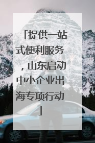 提供一站式便利服务，山东启动中小企业出海专项行动
