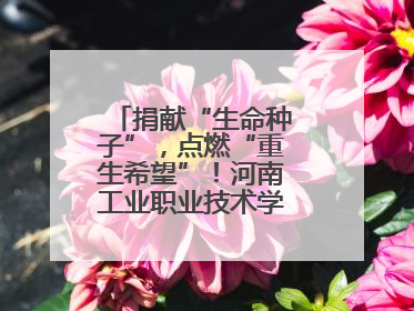 捐献“生命种子”，点燃“重生希望”！河南工业职业技术学院校友为患者捐献造血干细胞