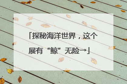 探秘海洋世界，这个展有“鲸”无险→