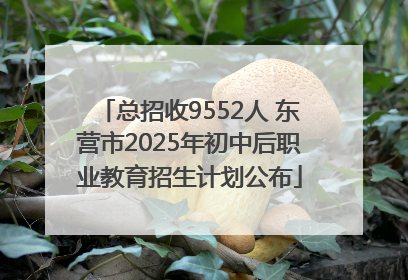 总招收9552人 东营市2025年初中后职业教育招生计划公布