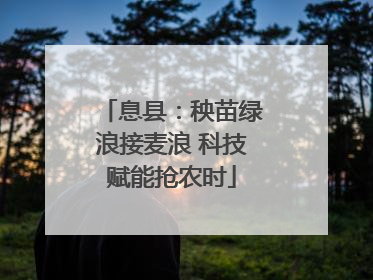 息县：秧苗绿浪接麦浪 科技赋能抢农时