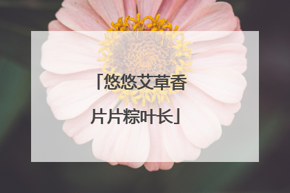 悠悠艾草香 片片粽叶长