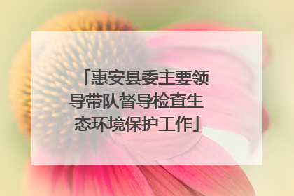 惠安县委主要领导带队督导检查生态环境保护工作