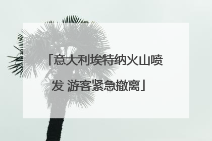 意大利埃特纳火山喷发 游客紧急撤离