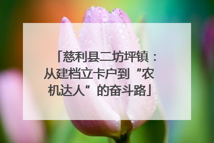 慈利县二坊坪镇：从建档立卡户到“农机达人”的奋斗路