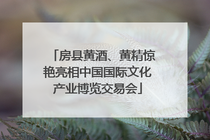房县黄酒、黄精惊艳亮相中国国际文化产业博览交易会