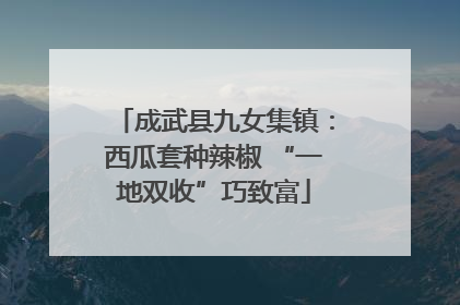 成武县九女集镇：西瓜套种辣椒 “一地双收”巧致富