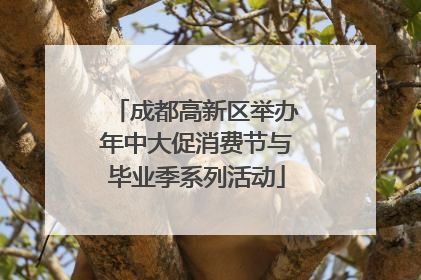 成都高新区举办年中大促消费节与毕业季系列活动