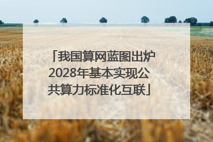 我国算网蓝图出炉 2028年基本实现公共算力标准化互联