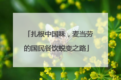 扎根中国味，麦当劳的国民餐饮蜕变之路