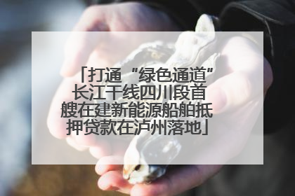 打通“绿色通道” 长江干线四川段首艘在建新能源船舶抵押贷款在泸州落地