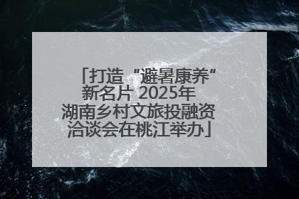 打造“避暑康养”新名片 2025年湖南乡村文旅投融资洽谈会在桃江举办