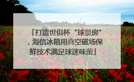 打造世俱杯“球景房”，海信冰箱用真空磁场保鲜技术满足球迷味蕾