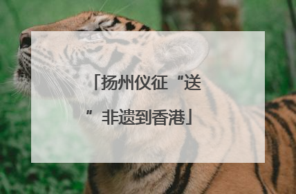 扬州仪征“送”非遗到香港