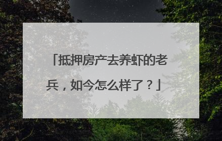 抵押房产去养虾的老兵，如今怎么样了？