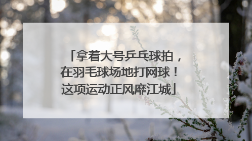 拿着大号乒乓球拍，在羽毛球场地打网球！这项运动正风靡江城