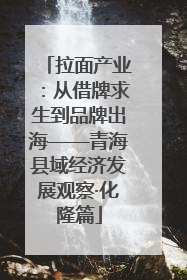 拉面产业：从借牌求生到品牌出海——青海县域经济发展观察·化隆篇