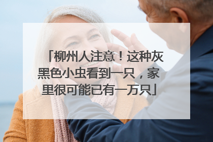 柳州人注意！这种灰黑色小虫看到一只，家里很可能已有一万只