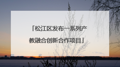 松江区发布一系列产教融合创新合作项目