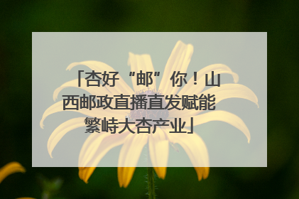 杏好“邮”你！山西邮政直播直发赋能繁峙大杏产业