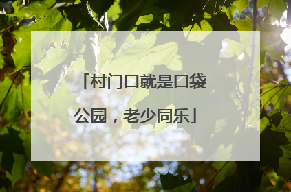 村门口就是口袋公园，老少同乐