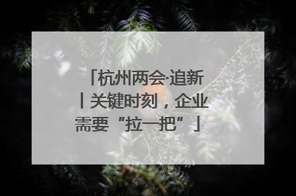 杭州两会·追新丨关键时刻，企业需要“拉一把”