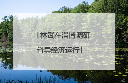 林武在淄博调研督导经济运行