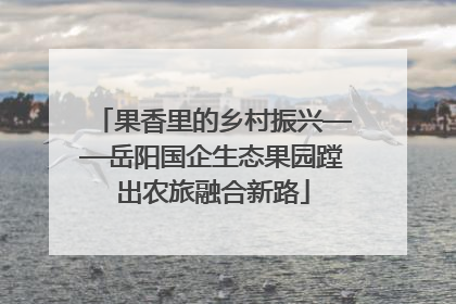 果香里的乡村振兴——岳阳国企生态果园蹚出农旅融合新路
