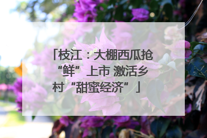 枝江：大棚西瓜抢“鲜”上市 激活乡村“甜蜜经济”