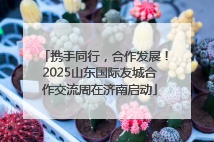 携手同行，合作发展！2025山东国际友城合作交流周在济南启动