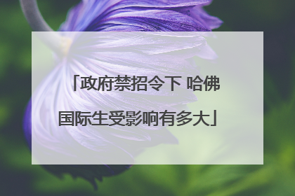 政府禁招令下 哈佛国际生受影响有多大