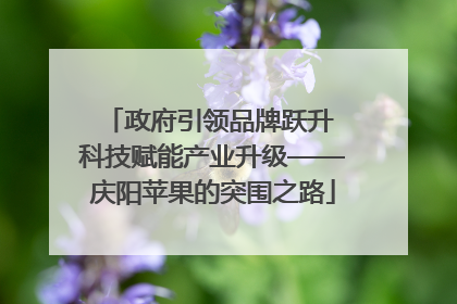 政府引领品牌跃升 科技赋能产业升级——庆阳苹果的突围之路