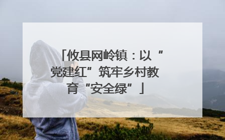 攸县网岭镇：以“党建红”筑牢乡村教育“安全绿”